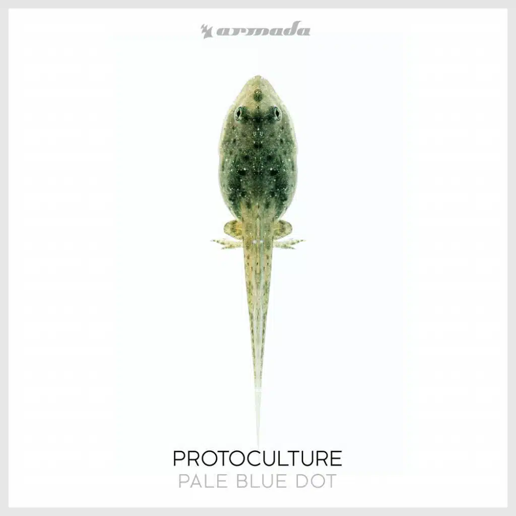 Pale Blue Dot (Extended Mix)