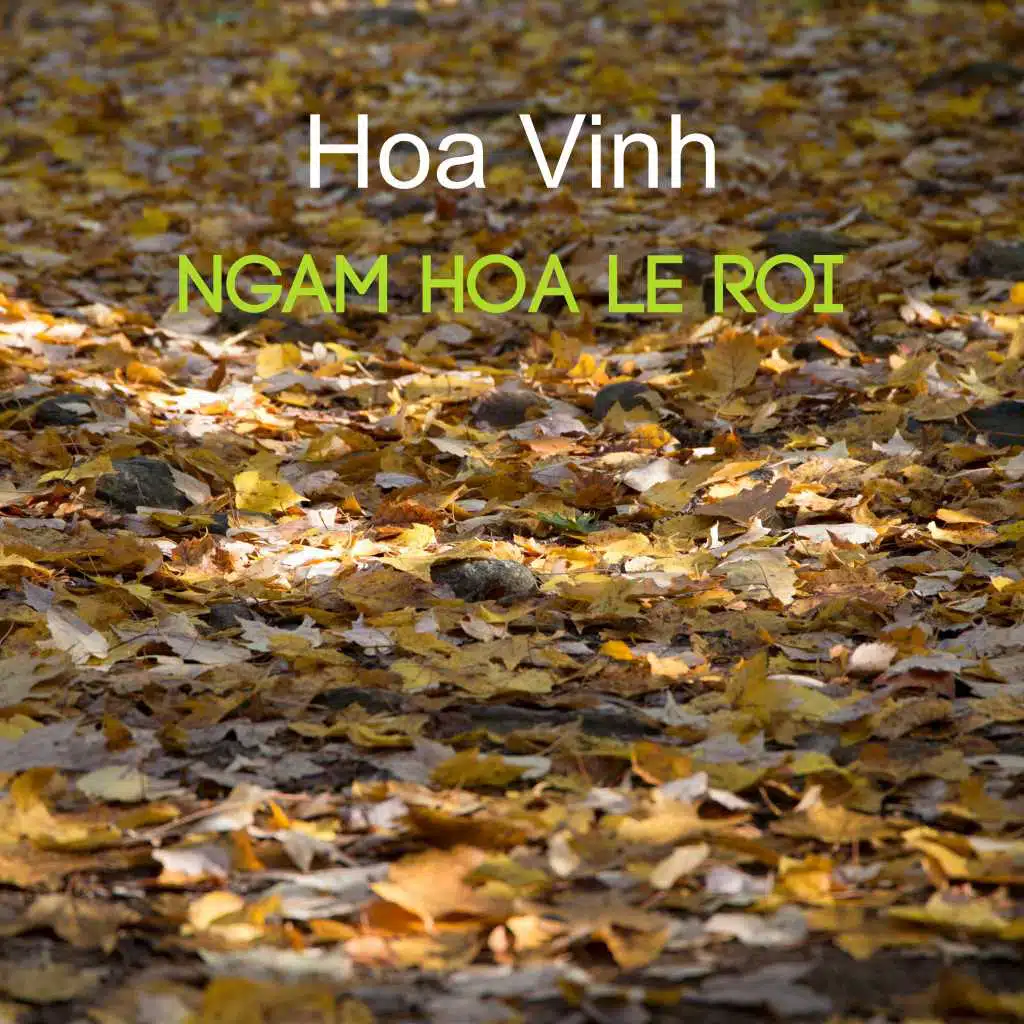 Ngắm Hoa Lệ Rơi
