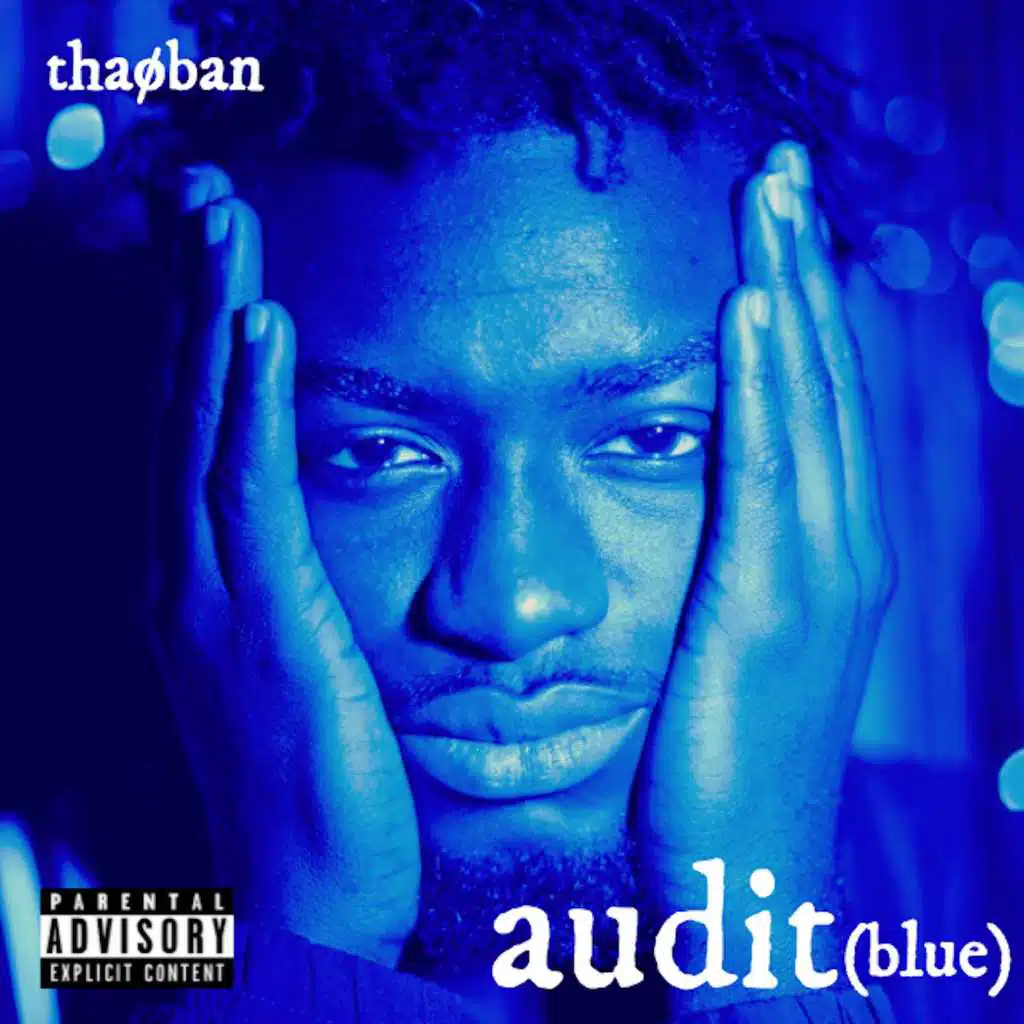 Audit (Blue)