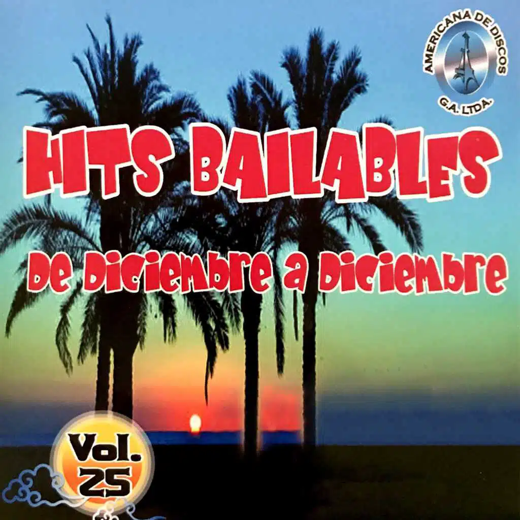 Hits Bailables De Diciembre En Diciembre Vol.25