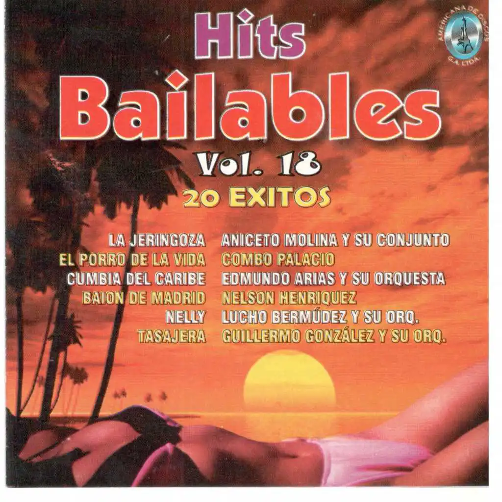 Hits Bailables, Vol. 18