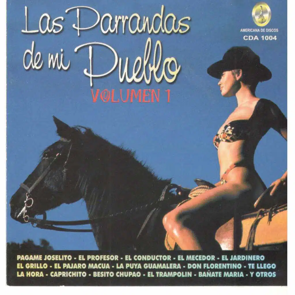 Parrandas de Mi Pueblo, Vol. 1