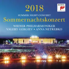 Sommernachtskonzert 2018 / Summer Night Concert 2018