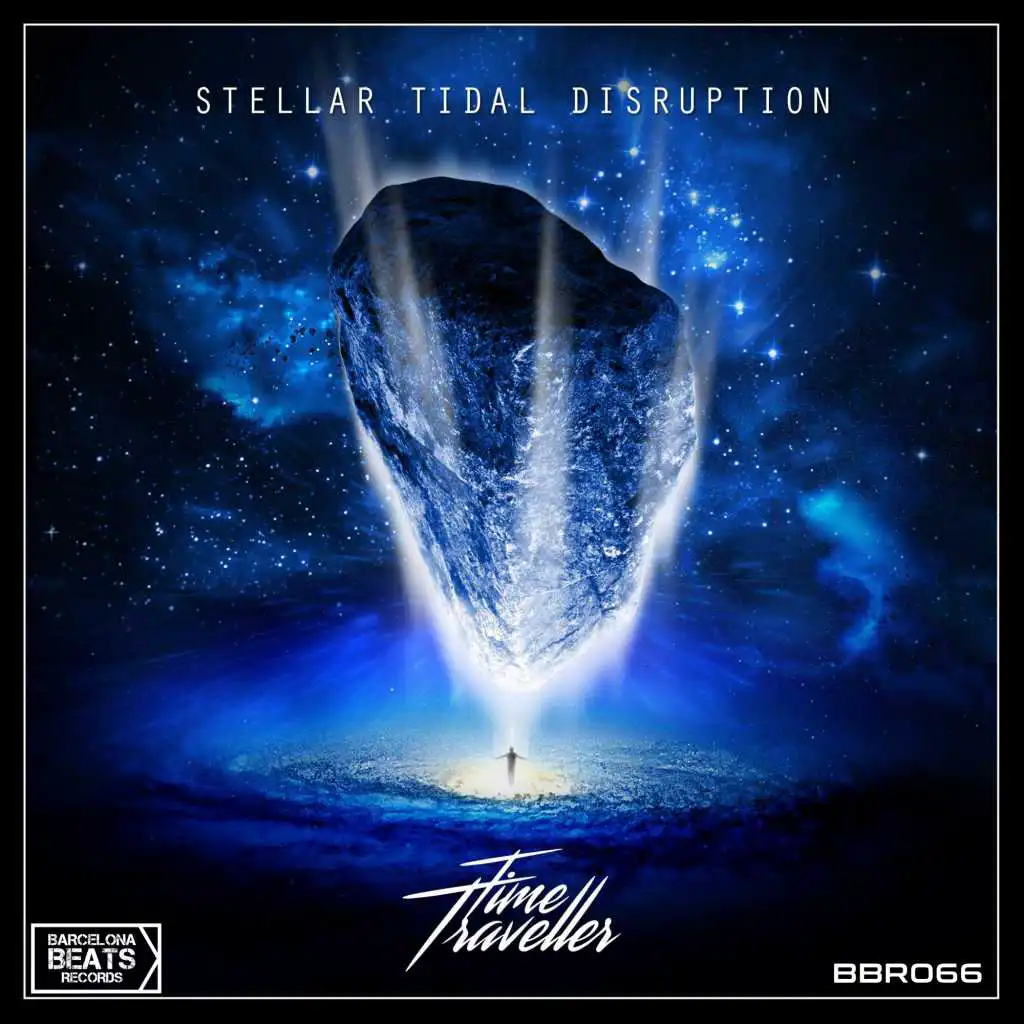 Stellar Tidal Disruption