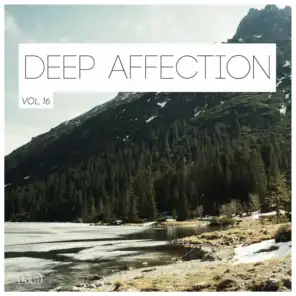 Deep Affection, Vol. 16