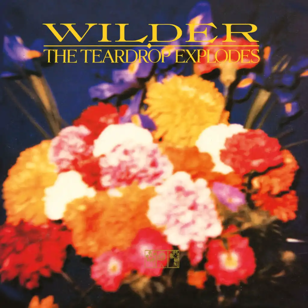 Wilder - New Version