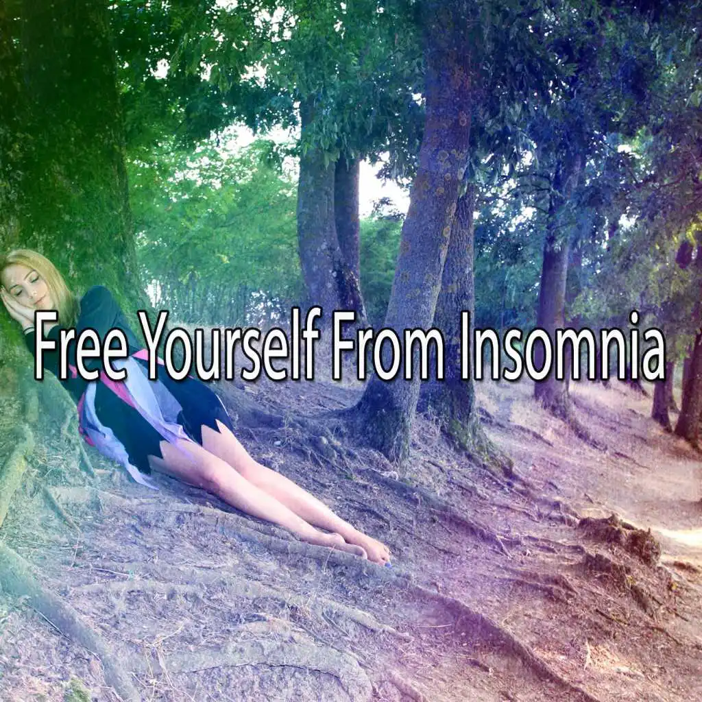 Free Yourself From Insomnia