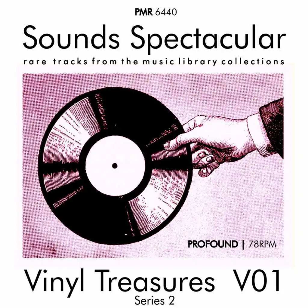 Vinyl Treasures, Series 2, Volume 1