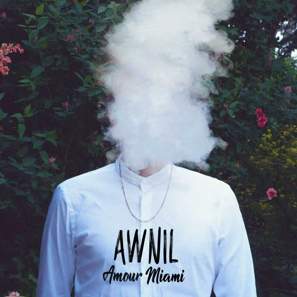 Amour Miami