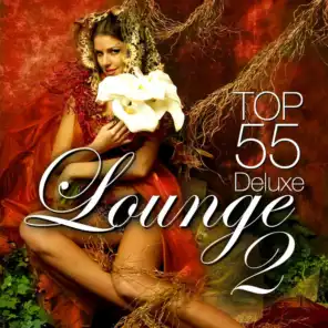 Lounge Top 55 Vol.2 - Deluxe