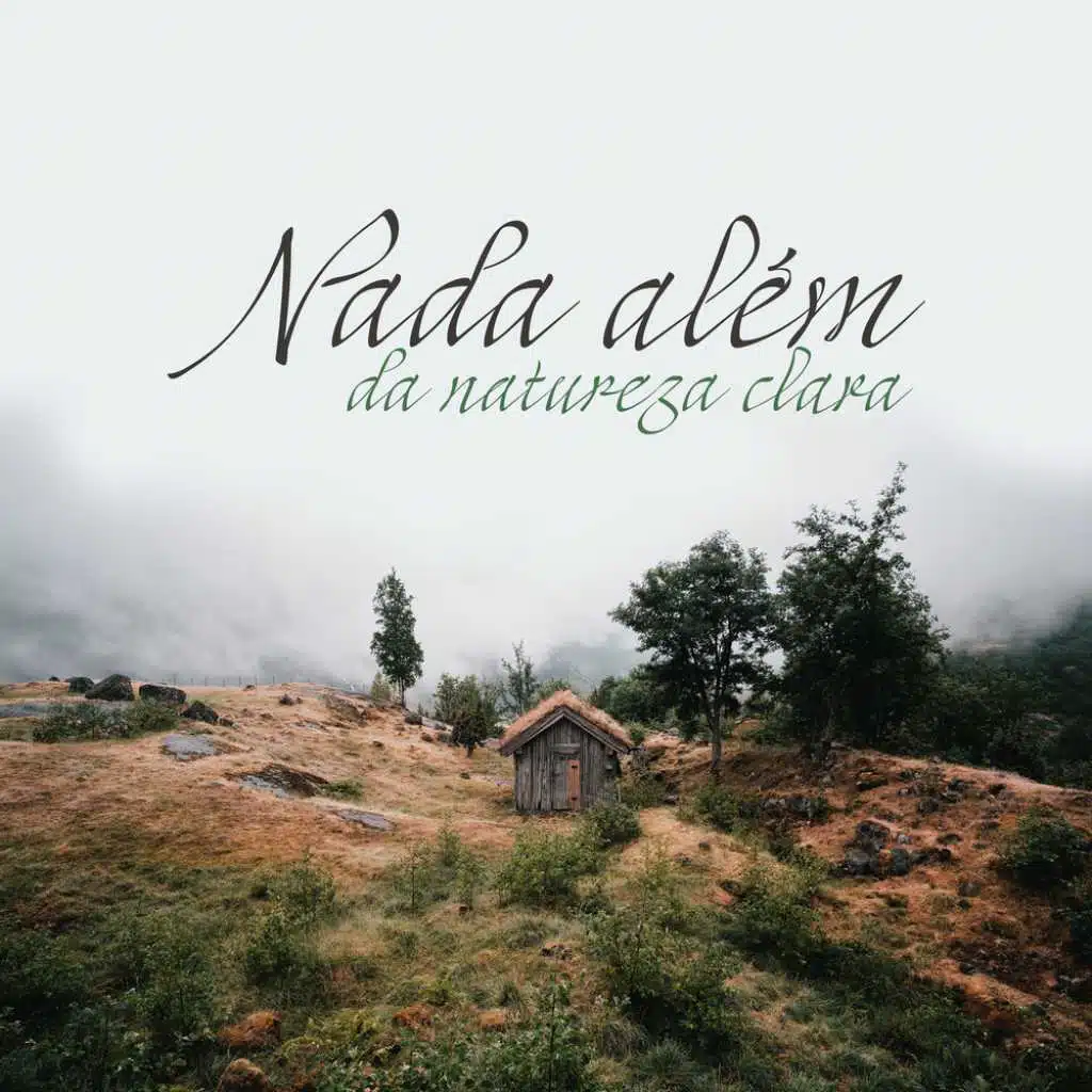 Nada além da natureza clara