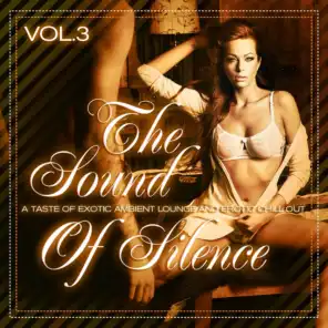 The Sound of Silence, Vol. 3 - A Taste of Exotic Ambient Lounge and Erotic Chill Out