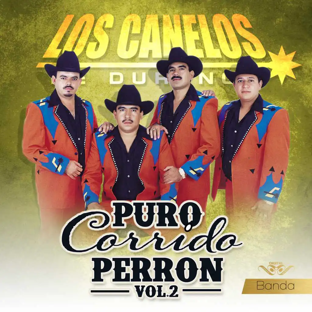 Puro Corrido Perrón Con Banda, Vol. 2