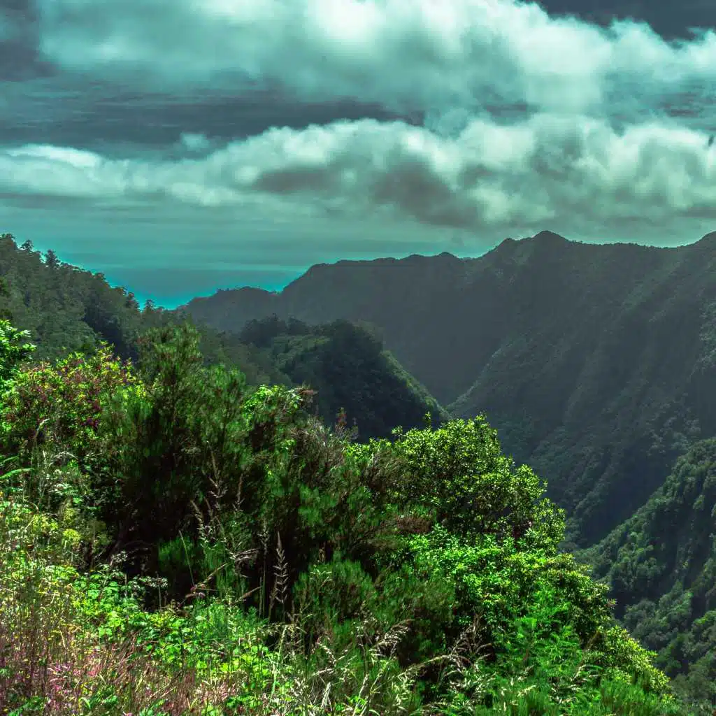 Exploration (The World We Want)