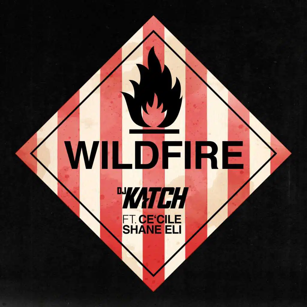 Wildfire (feat. Shane Eli & Cecile)