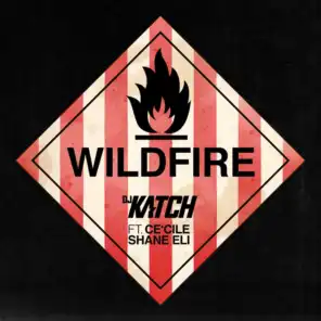 Wildfire (feat. Ce'Cile & Shane Eli)