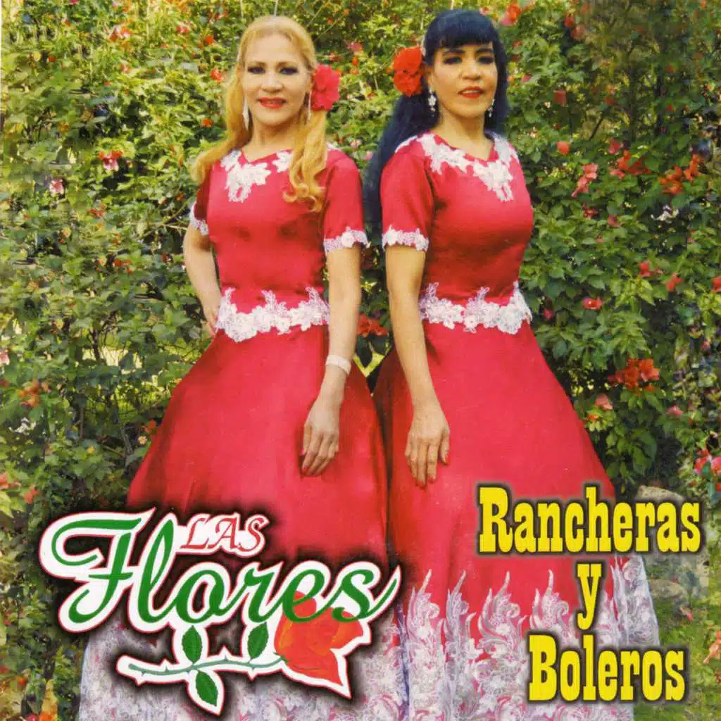 Rancheras y Boleros