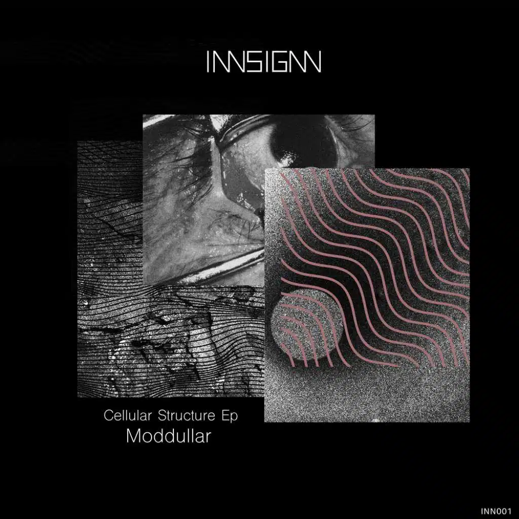 Cellular Structure EP