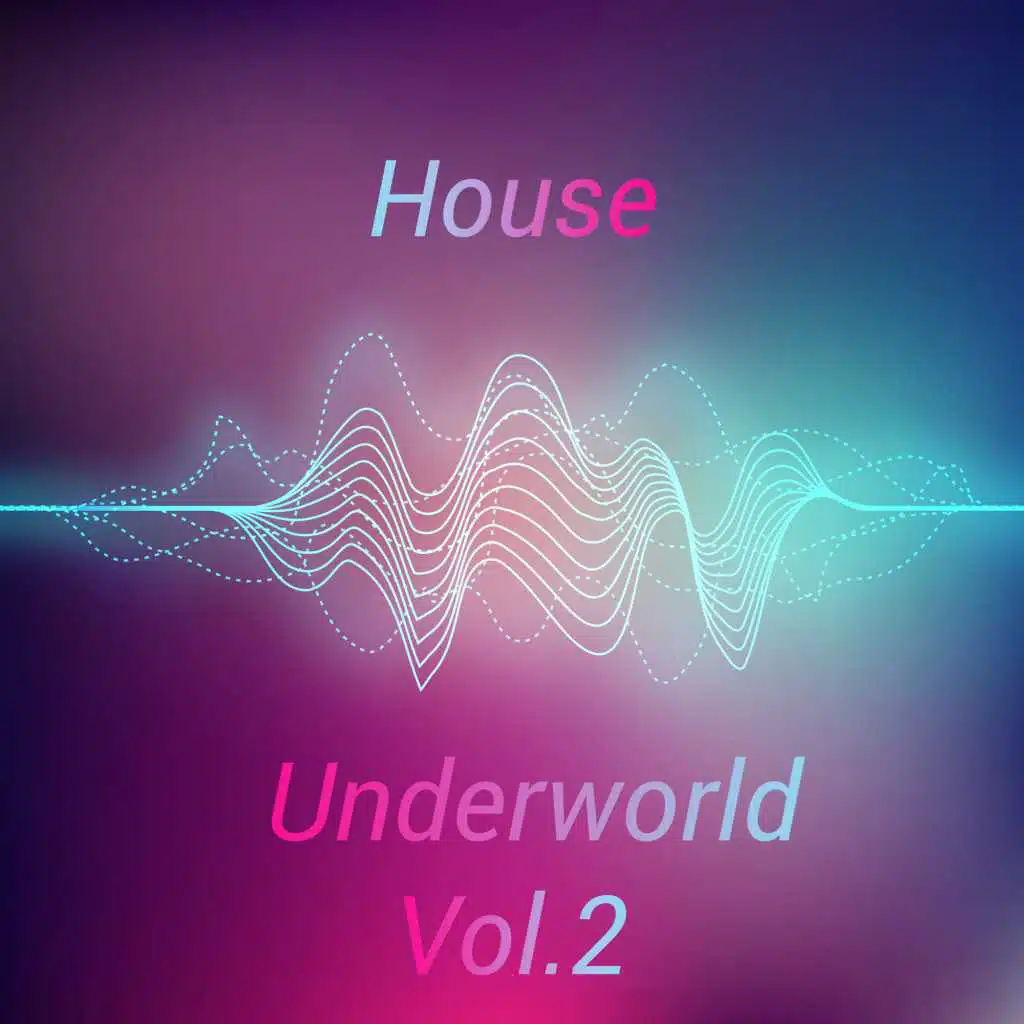 House Underworld, Vol. 2
