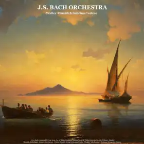 Oboe Concerto in D Minor, BWV 1059: Adagio (Live)