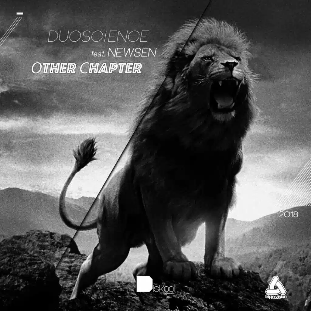 Other Chapter (feat. Newsen)