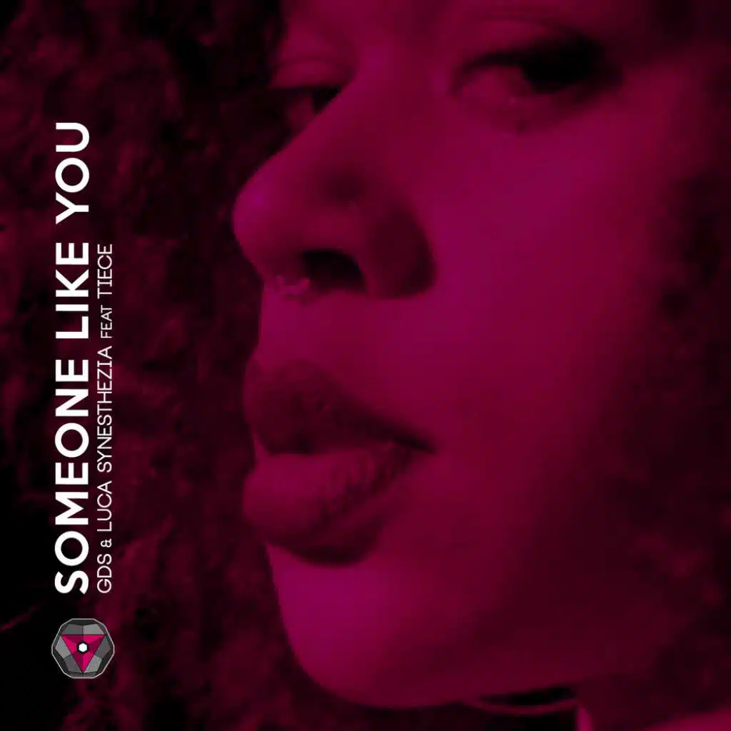 Someone Like You EP (feat. Tiece)