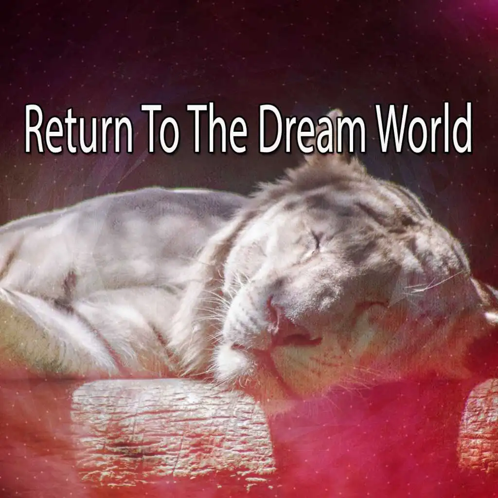 Return To The Dream World