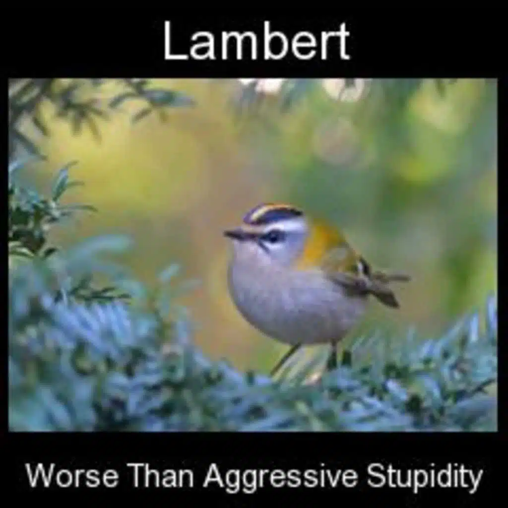 Worse Than Aggressive Stupidity