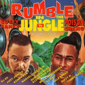 Rumble in the Jungle, Vol. 2