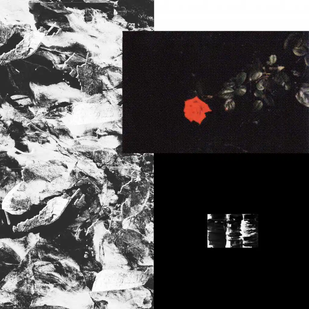 Prime EP