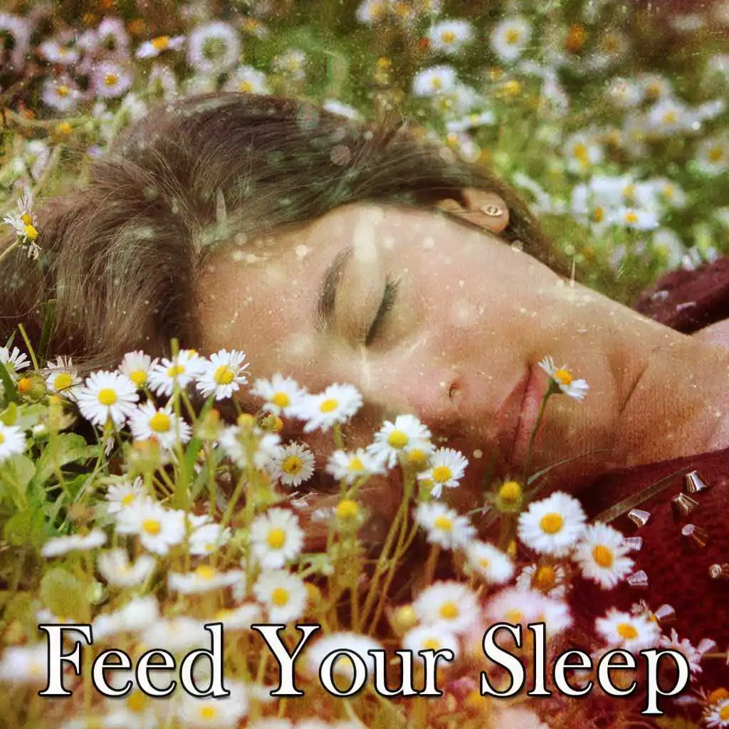 Feed Your Sleep