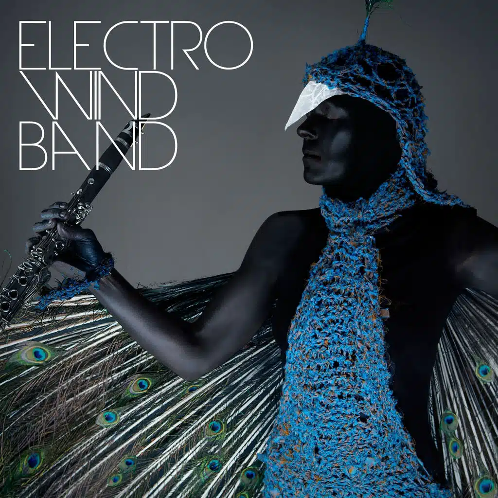 Electro Wind Band - A Tribute to Vitalic, Aphex Twin, Nathan Fake / James Holden