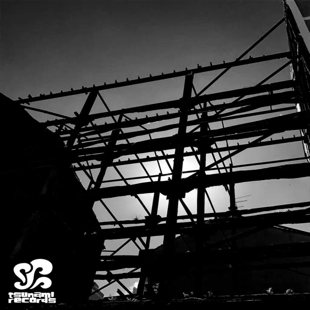 Strategic Preservation