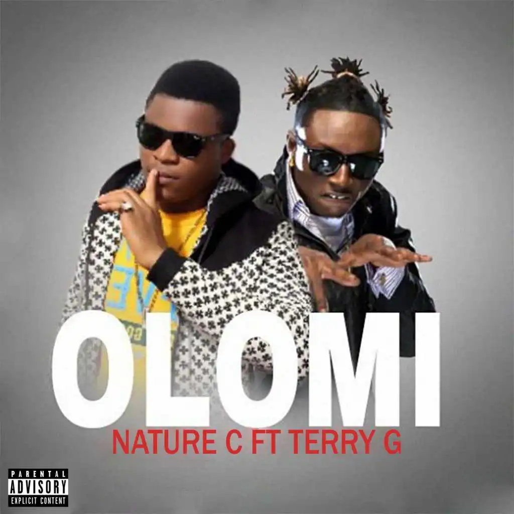 Olomi (feat. Terry G)
