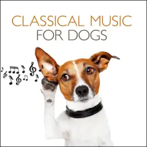 Classical Music For Dogs