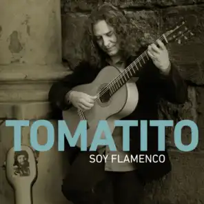 Soy Flamenco (Bulerías)