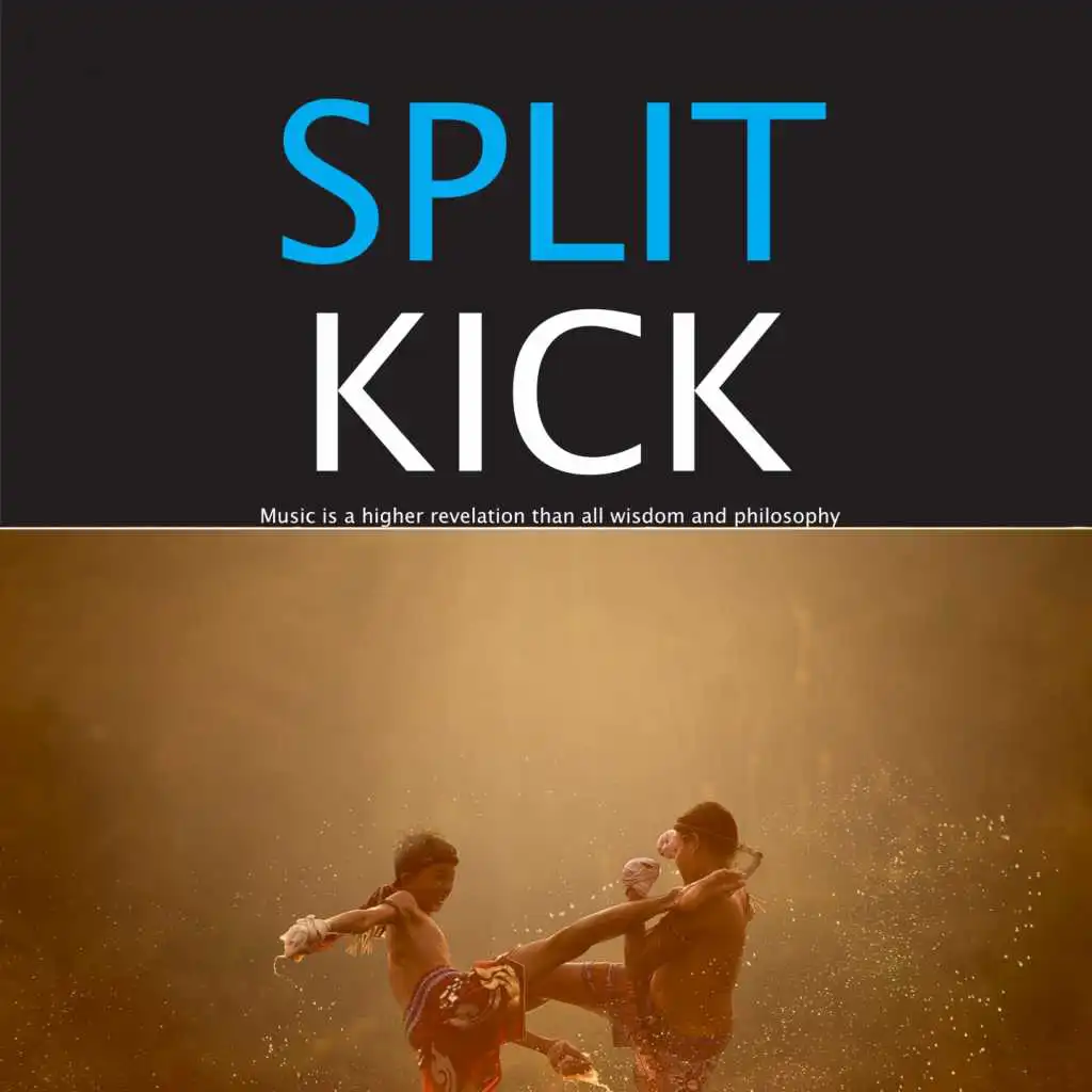 Split Kick