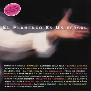 El Flamenco Es Universal - Fandangos Caracoleros