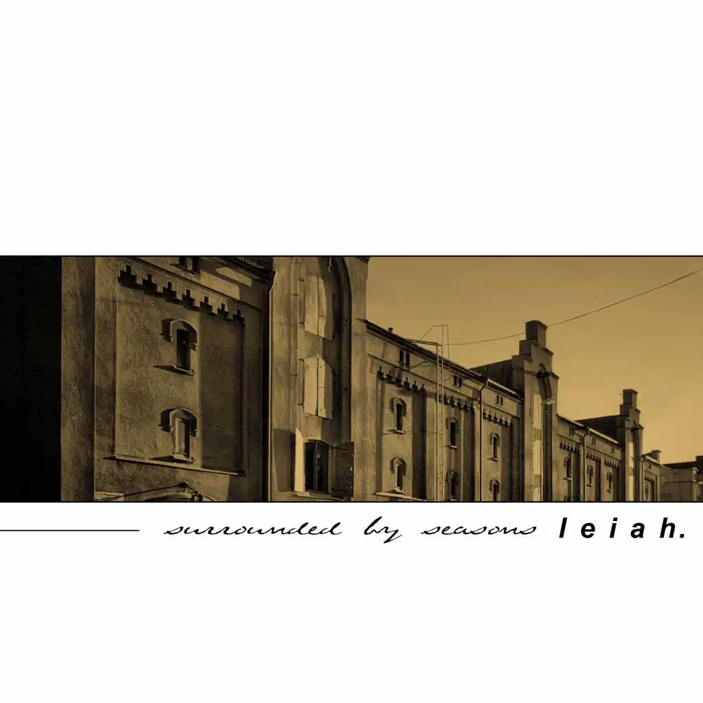 Surrounded By Seasons