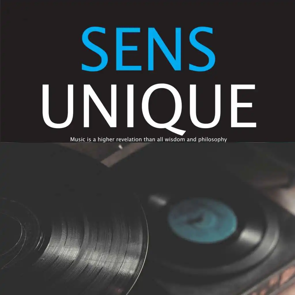 Sens unique (feat. Martial Solal)