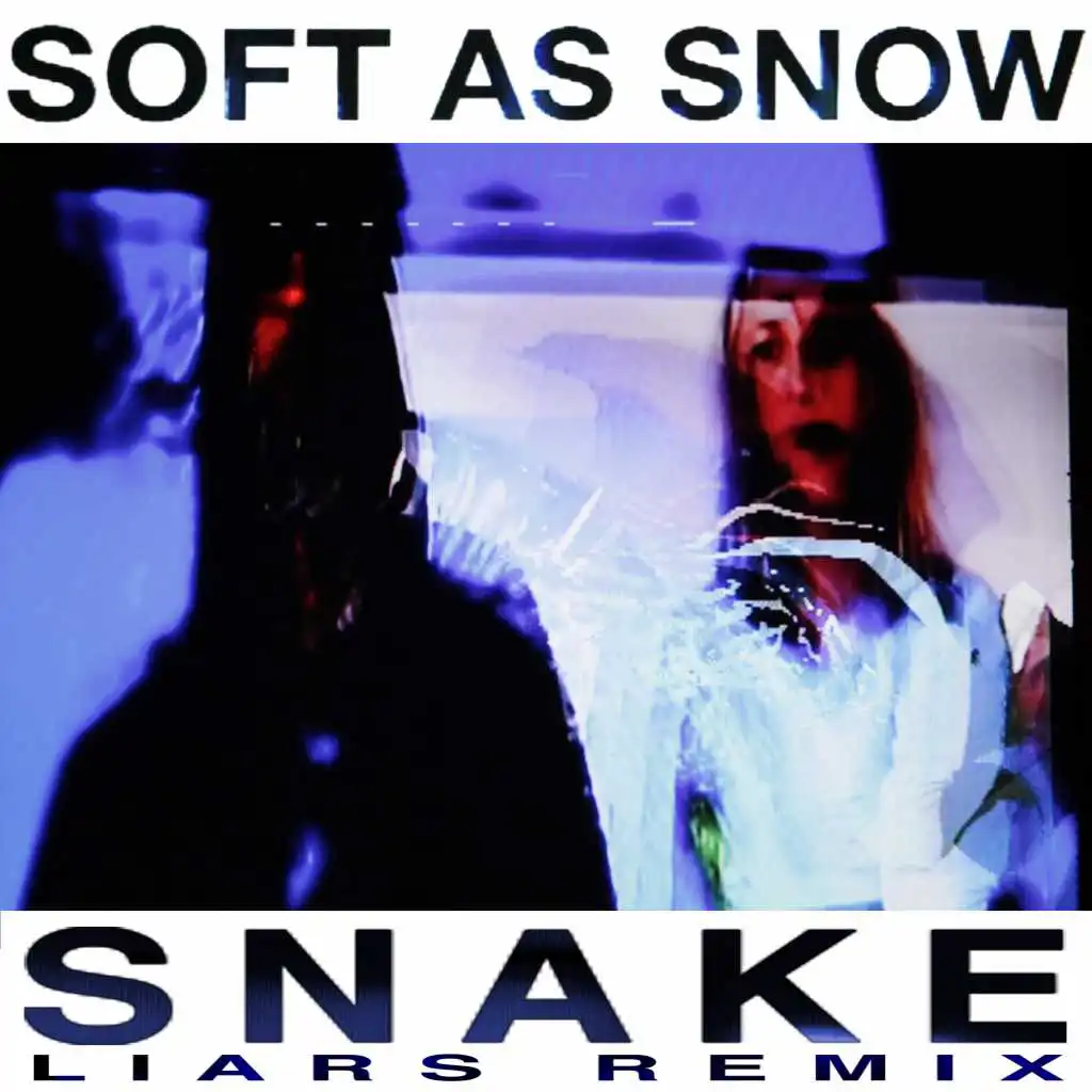 Snake (Liars Always With You Remix)