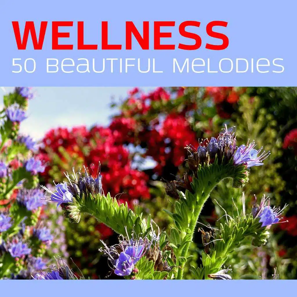 Wellness: 50 Beautiful Melodies