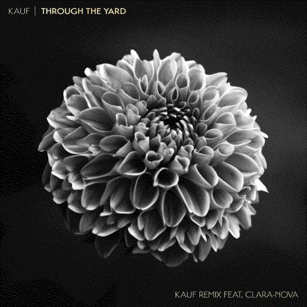 Through the Yard (feat. Clara-Nova)