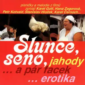 Slunce, Seno, Jahody... A Pár Facek... Erotika (Original Motion Picture Soundtrack)