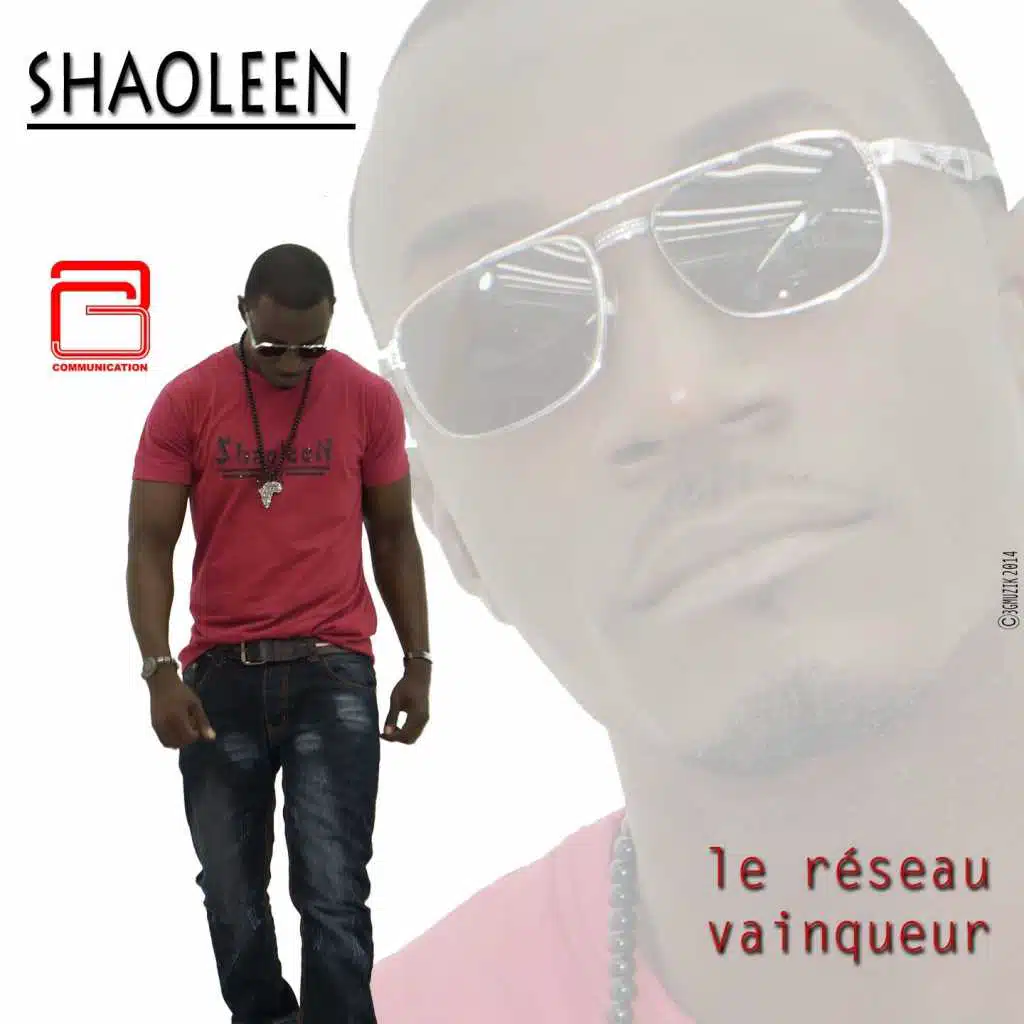 Le réseau vainqueur