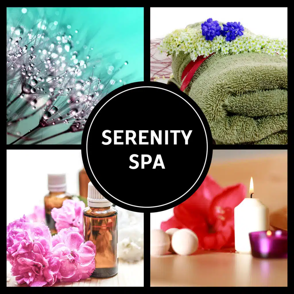 Serenity Spa – Wellness & Relaxation, Calming Soothing Music, Yoga & Meditation, Stress Management, Anxiety Help, Insomnia Cure