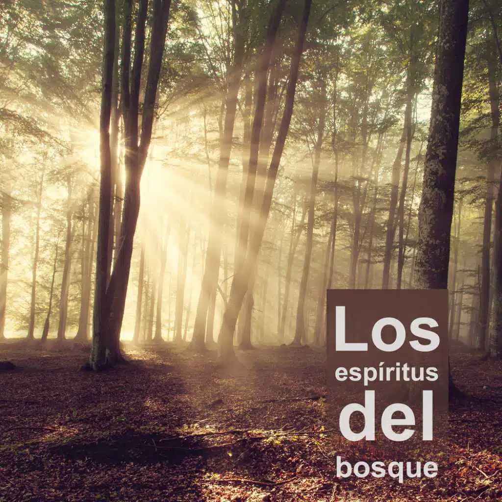 Los espíritus del bosque - Las mejores musicas instrumentales con sonidos de lluvia, del mar y de los animales de la naturaleza para relajar, meditar, bienestar, estudiar, dormir, calmar la mente y controlar la ansiedad