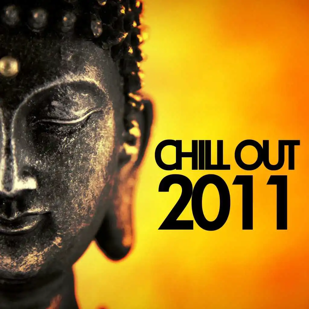 Chill Out 2011