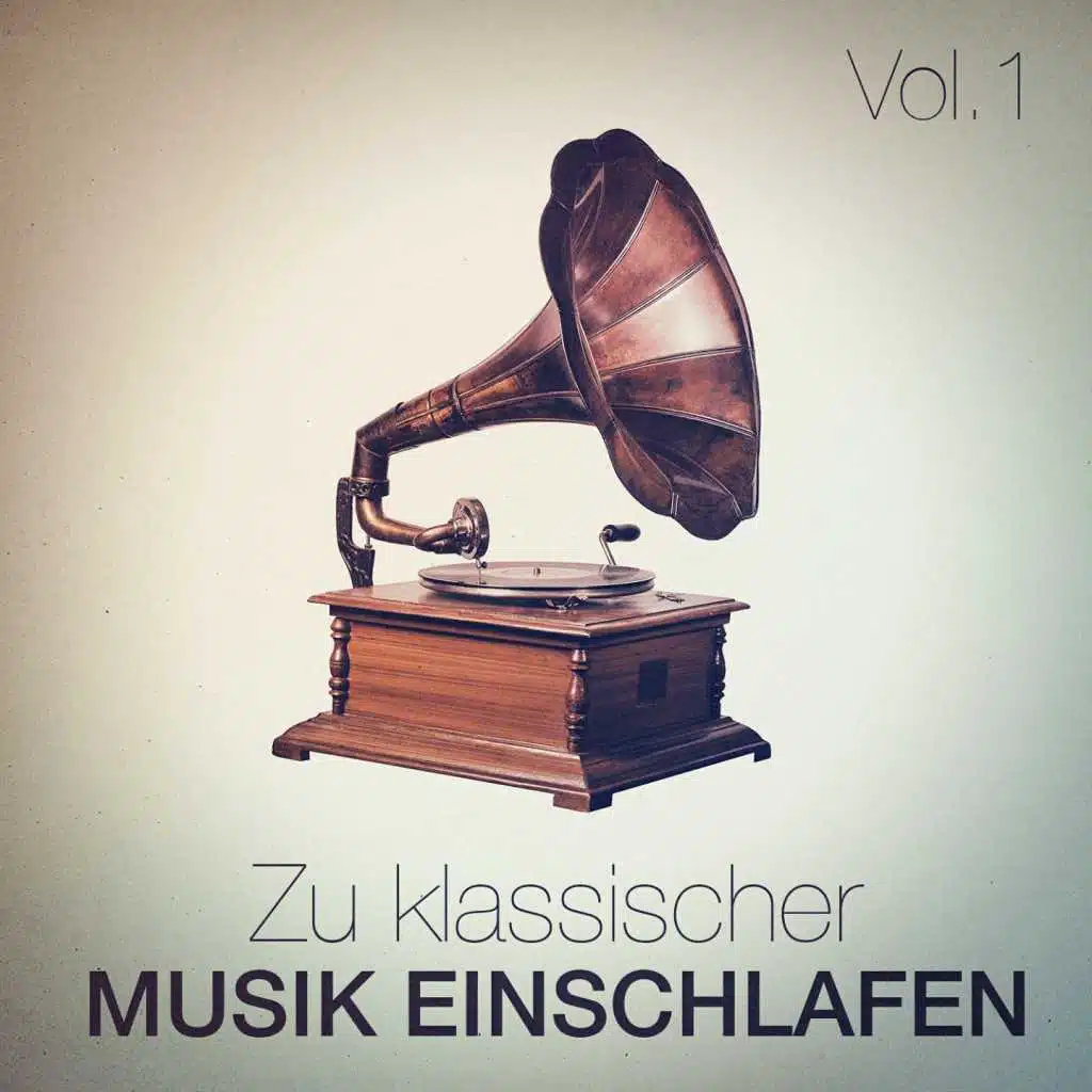 Zu Klassischer Musik Einschlafen, Vol. 1