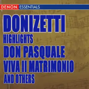 Don Pasquale, Act III: "Che Interminabile Andirivieni" (Servants Chorus) [feat. Riga Radio Choir 2]